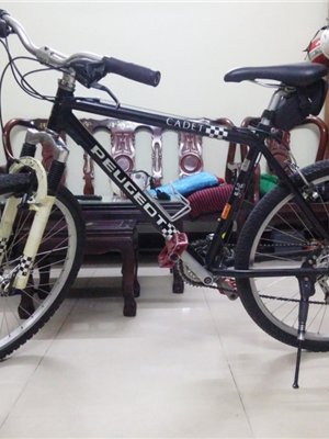 Peugeot Cadet（PEUGEOT CADET MTB フレーム（中古品））