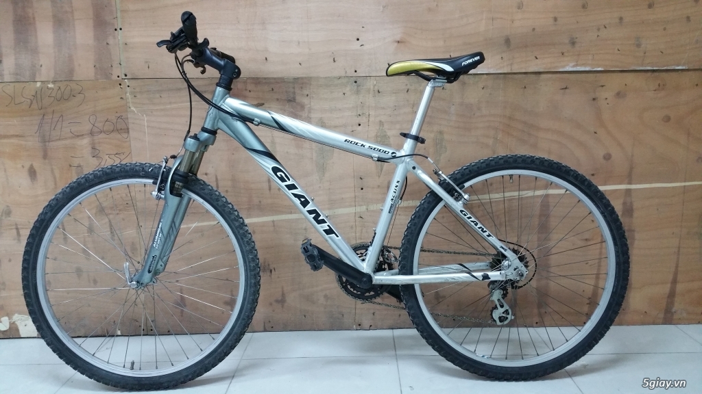 giant rock 5000